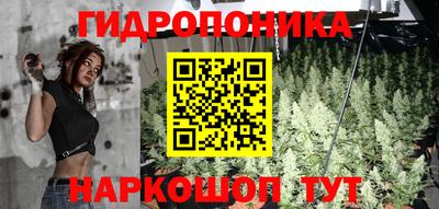 крисы Боровичи